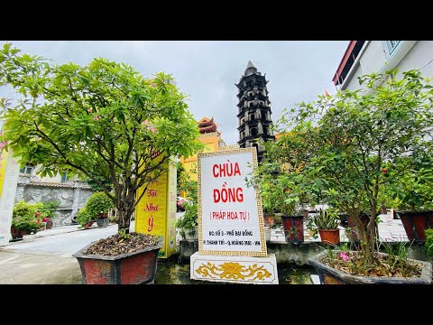 Nghi Thức NIKAYA - Niềm Vui Trong Giờ Phút Hiện Tại & Căn Bản Trí *