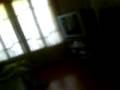 videos de acordando a RUIVA da fernanda