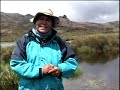 El Macizo Colombiano se muere