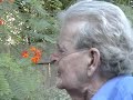 Sue Harris and Travis Edmonson sing Lavinia\