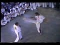 TIJOLO BATIZADO PRIMEIRA CORDA