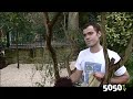 venez rencontrer avec 5050 tv les jardiniers qui font les parcs et jardins de cherbourg et d�couvrez avec nous la serre du parc emmnanuel liais encore trop peu connue.