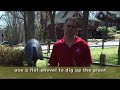 Gardening Video:How To Divide Hosta