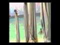 Koh Lan Islands or Coral Islands Lonely Planet Globe Trekker Pattaya video montage
