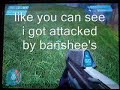 ***HALO GLITCH MUST SEE!***