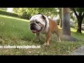 Happoradio - Hirsipuu (Kulissien takana / Behind the scenes)