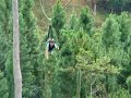 Zipline at camp sabros Zipline at camp sabros