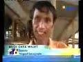 Indonesia-Swiftlet-s