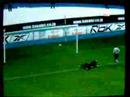 goal sholes..from mascalzone