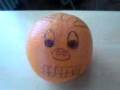 videos de Pomeranc