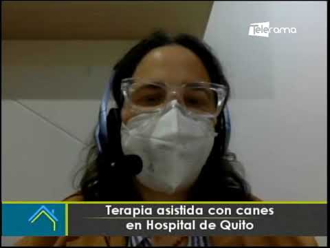 Terapia asistida con canes en Hospital de Quito