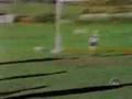 videos de palarrisa 4