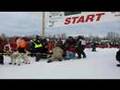 Warren Palfrey, 2008 Iditarod