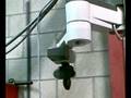 videos de wiibot