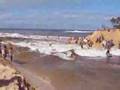 waimea bay
