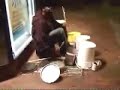 Homeless Drummer