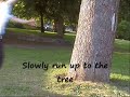Wall Spin - Part 1