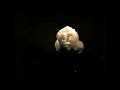 Popcorn kernel in slow motion. Popcorn kernel in slow motion.