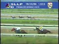 KDJM Juvenile Colts Stakes - Deputy Stravinsky KDJM Juvenile Colts Stakes - Deputy Stravinsky