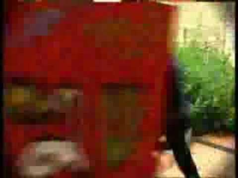 Mira el Vídeo