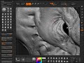Zbrush high frequency skin detailing 2