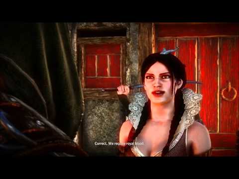 The Witcher 2 : Assassins of Kings