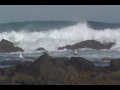 Waves off Ferryland from hurricane