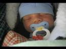 Caileb talking while sleeping.mov