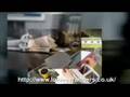 Cheap Loans - Loan Arragers