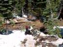Tezz, Snow, Downieville