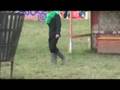 Glastonbury-Window-O