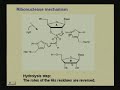 Lecture - 10 Enzyme Mechanisms I