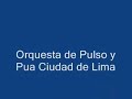 mayo 22, 2007, interpreta la orquesta de pulso y pua ciudad de lima