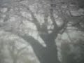 piano-arranged-by-koshi.html