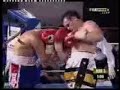 GEALE vs AJETOVIC Highlights