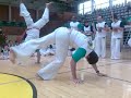 capoeira iuna