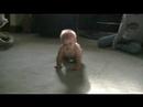 TSK: Crawling TSK: Crawling