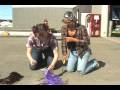 Missbusters - Concordia Broadcast Journalism