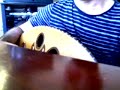 ??????? ???????