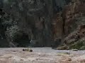 Flip in Hermit Rapid, Grand Canyon