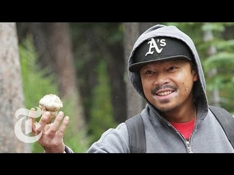 Mushroom - Every fall, Chemult, Ore., swells with pickers and buyers who flock to the forests to look for the prized matsutake mushroom. Read the story here: http://nyt...