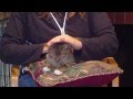 Adopt Solomon the Sweetie from Animal Allies!! animalallies.org