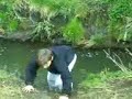 Flanshaw Beck Jumpers Flanshaw Beck Jumpers
