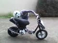 pgo big max