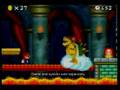 New-Super-Mario-Bros