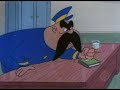 Pica-Pau Clandestino