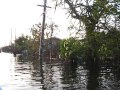 Bangkok Flood, Nov. 10, 2011. Boat ride,Wat Narwong