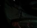 derge of my fish