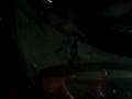 derge of my fish