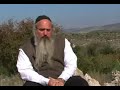 David Avisar Israeli Fine Art